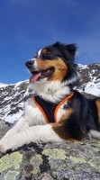bella_0