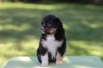 MG_3283-k